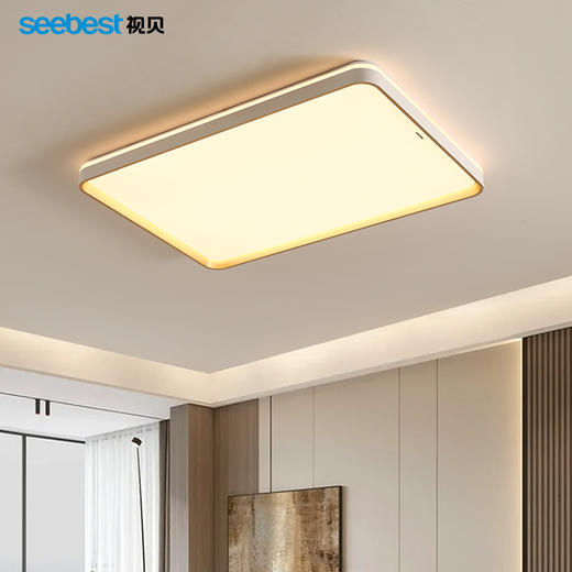 秋霜系列-客卧灯(秋霜大圆停产） 商品图0