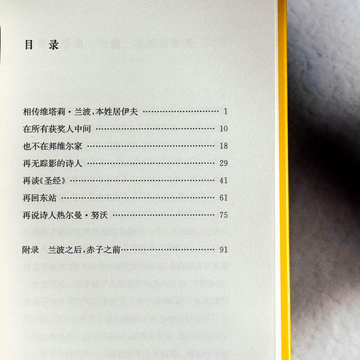 兰波这小子 传记式虚构系列 皮埃尔·米雄 六点图书 商品图7