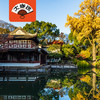 禅园留梦·苏州留园+西园寺讲解半日游·12人小团【大咖说®】 商品缩略图0