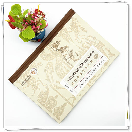 国家中医药博物馆研究课题专题研究成果提要 杨荣臣 主编 中国中医药出版社 商品图1