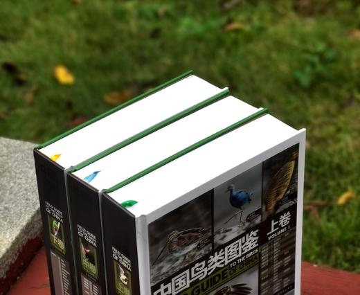 《中国鸟类图鉴》（上中下），主编曲利明，精装，16开，1920页。海峡书局2013年一版一印。定价2800，售价799元。
  商品图3