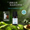 平衡小柅 1号绽蓝释放纯精油5ml  呼吸清新 养护  闻嗅/扩香  调油 商品缩略图0