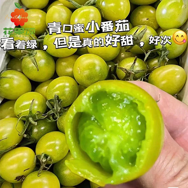 青口蜜小番茄