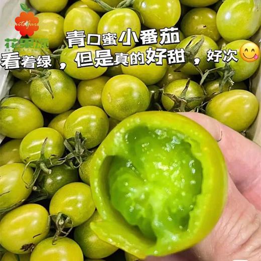 青口蜜小番茄 商品图0