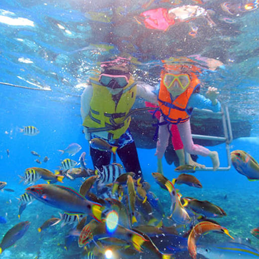 热浪岛CORAL REDANG珊瑚度假村 商品图4