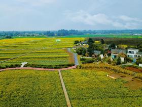 【春日出游·6折享】¥1480起住4房/5房/6房别墅！春日踏青徒步，平时周末通用！邛崃112号院，设计师精品民宿，千亩油菜花田，dx
