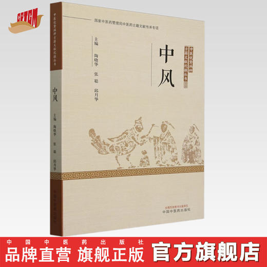中风 中医优势病种古籍文献挖掘丛书 陶晓华 张聪 邱月华 主编 中国中医药出版社 商品图0