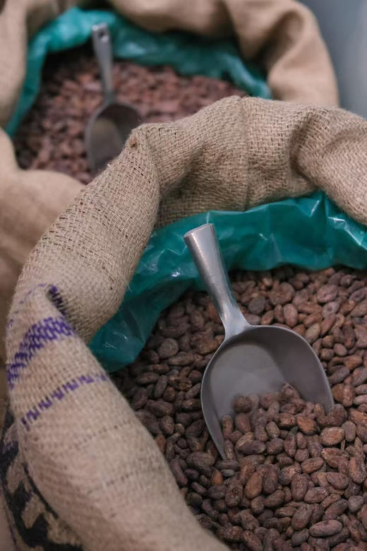 CACAOROCK可可石巧克力，情人节带给大家的是一套精品巧克力排块组合，共四款口味，由坦桑尼亚、越南、秘鲁的优质可可豆手工制做而成，非常健康且优雅。四种口味各一，25克×4 商品图5