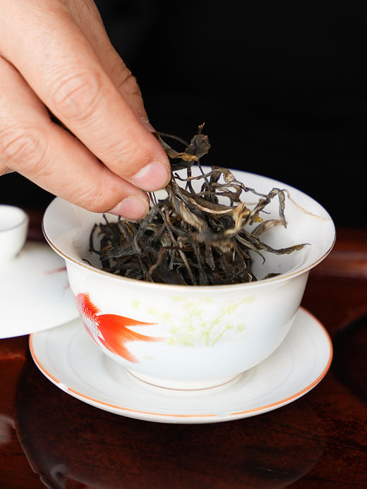 【福利分享】【凤凰寨窝心散茶】2025年头春凤凰寨“窝心”核心古树资源，福利分享给茶友，让茶友感受一下“窝心”古树的真正魅力！500克/份 商品图5