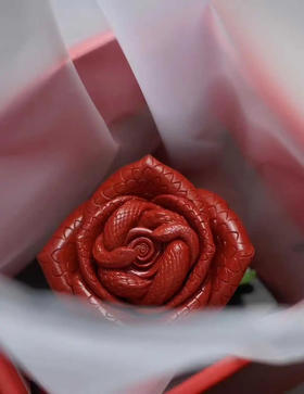 赵永昌《蛇语-玫瑰之恋》