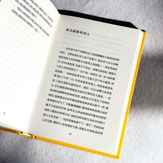 兰波这小子 传记式虚构系列 皮埃尔·米雄 六点图书 商品图10