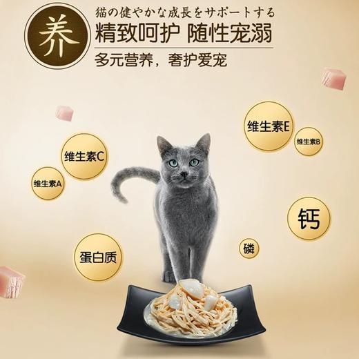 希宝黑金罐头75g/罐 黑罐鲜煮鸡胸肉系列75g/罐 猫咪零食罐头  泰国进口 多口味混合 商品图6