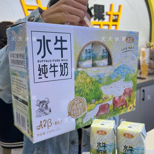 左江A2-β酪蛋白水牛纯牛奶8.4g蛋白质儿童营养早餐奶 商品图10