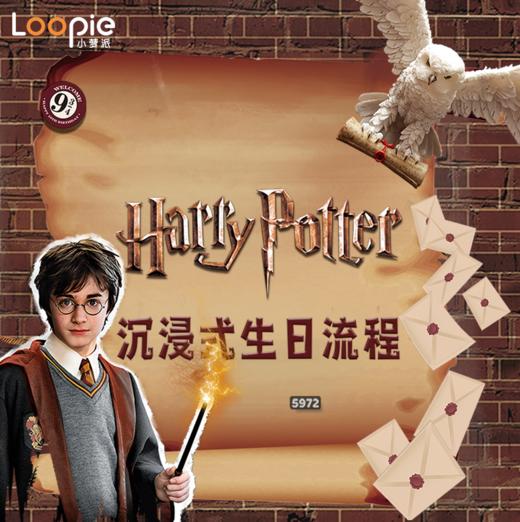 哈利波特沉浸式派对 商品图0