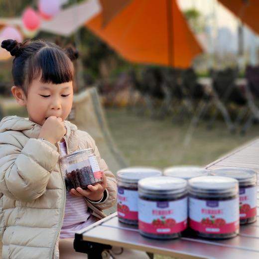 大兴安岭野生蔓越莓干 商品图6