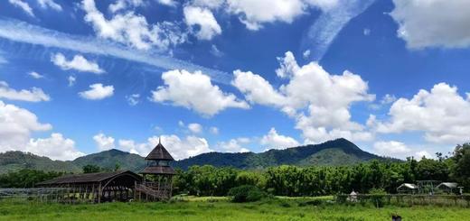 【好喝还让身体暖 | 蕞强逐寒湿秋冬暖身饮】香茅姜茶|玉米纤维茶包 商品图7