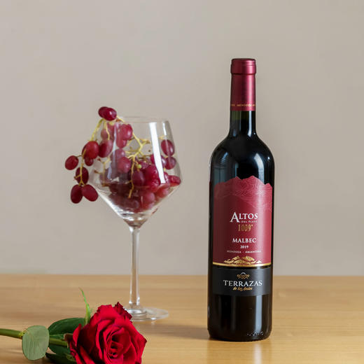 台阶安第斯山脉1009马尔贝克红葡萄酒 商品图0
