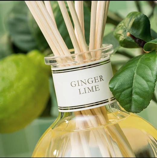 【李昀锐同款】Dr.Vranjes生姜青柠无火藤条香薰 商品图1