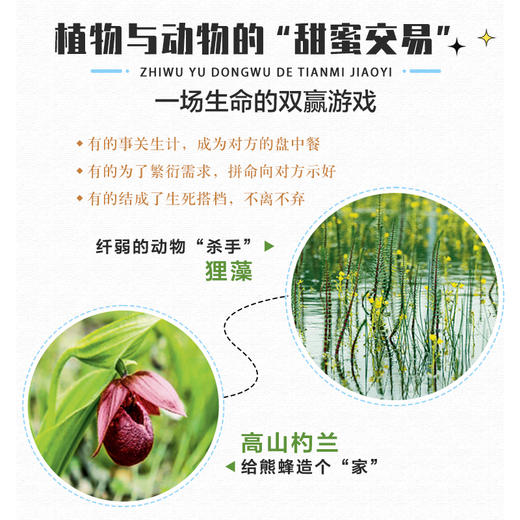 喜马拉雅的种子 青藏高原珍惜的野生植物 一粒种子 养育一个民族 孕育一种文明 中宣部主题出版物 商品图3