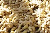 【好喝还让身体暖 | 蕞强逐寒湿秋冬暖身饮】香茅姜茶|玉米纤维茶包 商品缩略图11