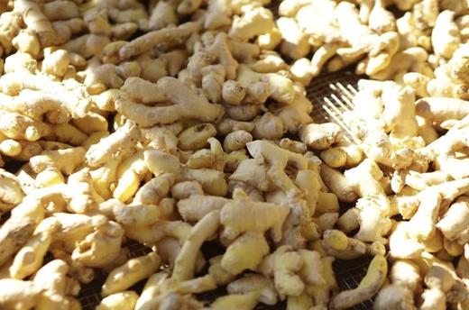 【好喝还让身体暖 | 蕞强逐寒湿秋冬暖身饮】香茅姜茶|玉米纤维茶包 商品图11