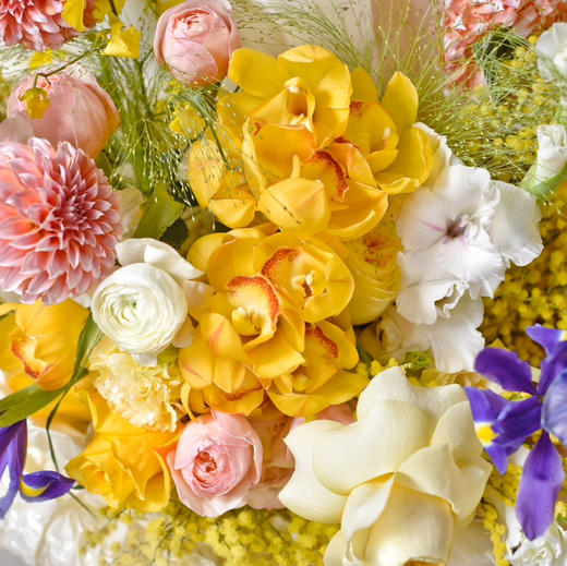 《和煦春风》大花蕙兰暖色系大花束 商品图4