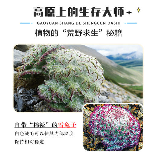 喜马拉雅的种子 青藏高原珍惜的野生植物 一粒种子 养育一个民族 孕育一种文明 中宣部主题出版物 商品图2