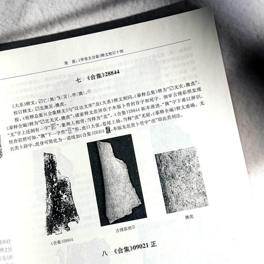 中国文字研究 第四十辑 中文社会科学引文索引来源期刊 商品图10