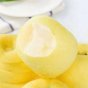 【顺丰可选❗️山东黄金维纳斯苹果】苹果中的贵族，纯甜无酸味，糖度达到17+，黄金生长地带，新鲜脆甜脆甜多汁，糖心黄苹果新鲜水果非黄元L