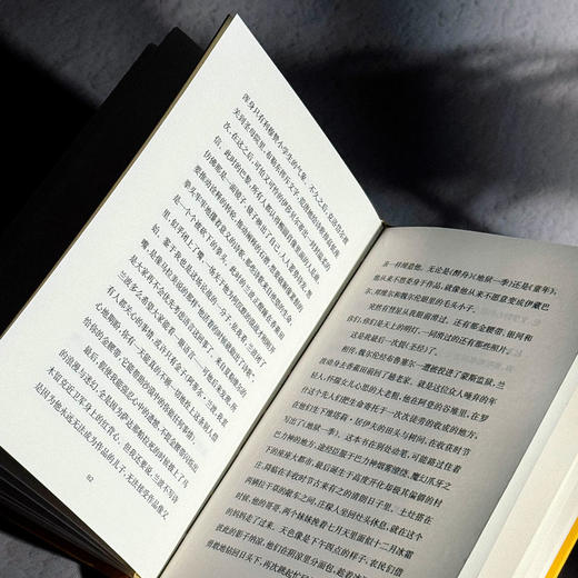 兰波这小子 传记式虚构系列 皮埃尔·米雄 六点图书 商品图13