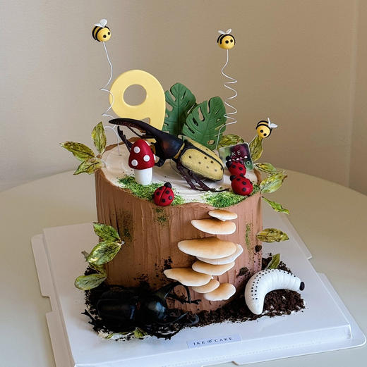 甲虫 | 昆虫蛋糕 商品图0