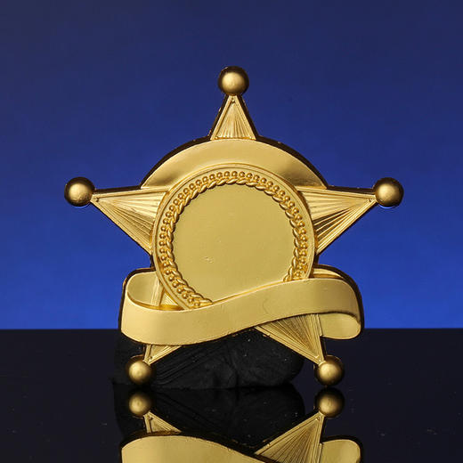 徽章定制定做金属胸章胸针订制优秀员工 商品图2