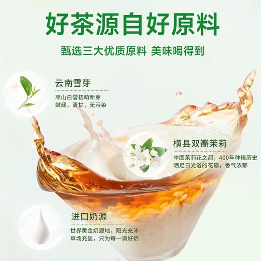 轻上 茉莉雪芽奶茶饮料245ml*10瓶  配料干净清爽不甜腻 48小时发货 商品图4