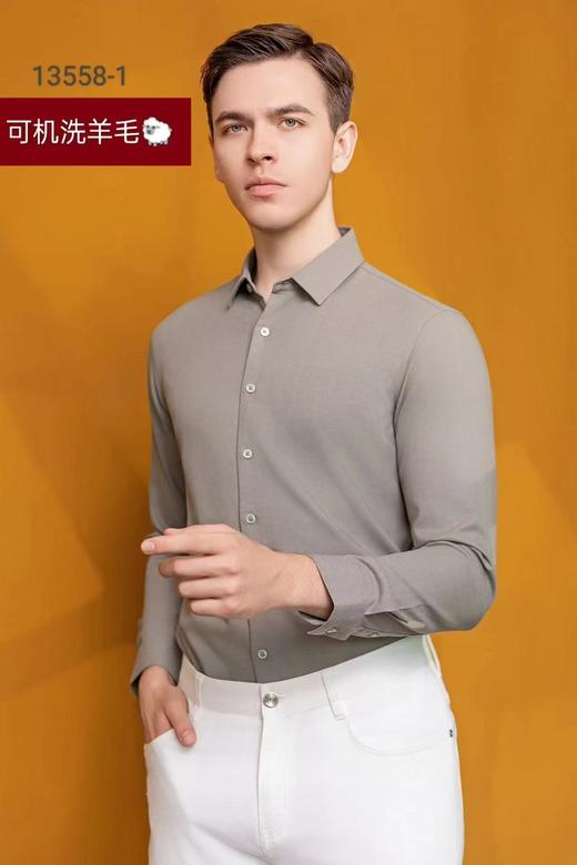 13558-1衬衫 商品图0