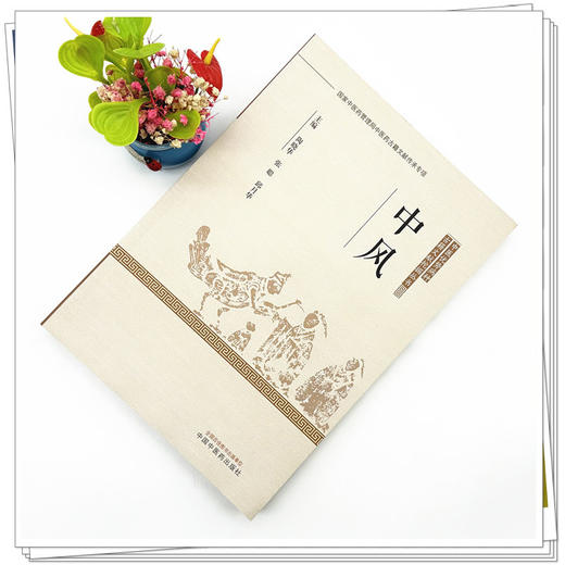 中风 中医优势病种古籍文献挖掘丛书 陶晓华 张聪 邱月华 主编 中国中医药出版社 商品图1