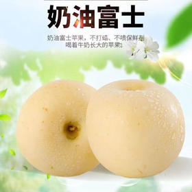 【分仓直发包邮】山东烟台奶油富士苹果精品果4.5-5斤（8-9枚）礼盒装