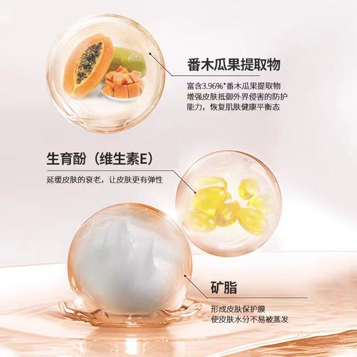 澳洲Lucas’Papaw Ointment卢卡氏番木瓜膏25g 商品图6