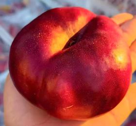 智利蟠桃（2斤）