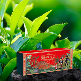 桫椤春茗·红茶