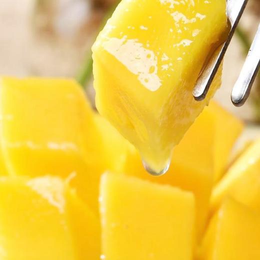 金煌芒礼盒 1.7KG/盒 商品图5