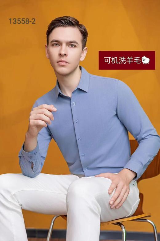 13558-2衬衫 商品图0