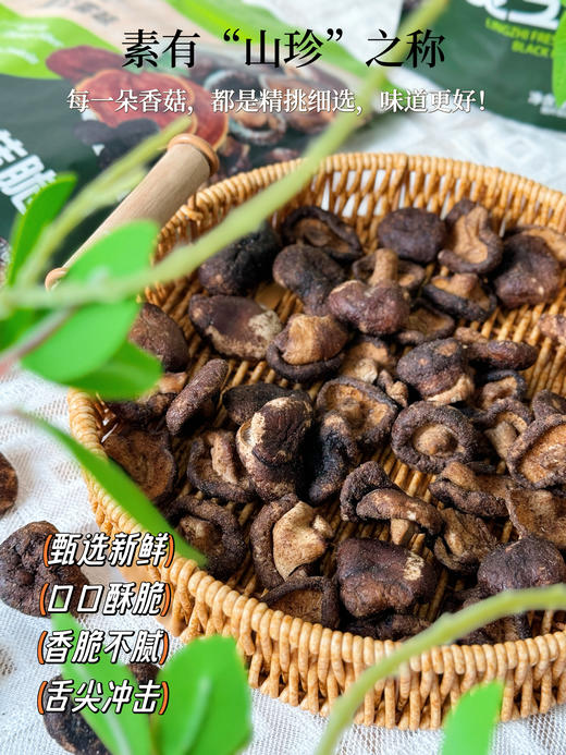 灵芝鲜菇脆 100g/袋 商品图3
