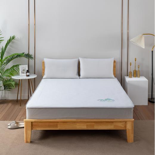 【新品】新生代凉感床笠三件套 商品图1