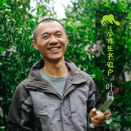 生态耙耙柑（满2件赠果酱）  | 合作生产 *Ecological Harumi Tangerine | Partner Production 商品图1