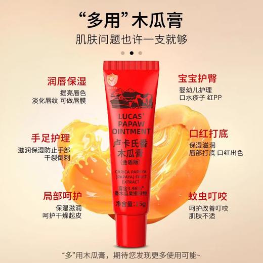 澳洲Lucas’Papaw Ointment卢卡氏番木瓜膏25g 商品图5
