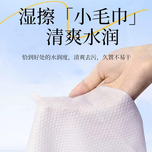 纪念日百货 樱桃小丸子系列小丸子婴儿湿巾80抽湿巾160899781 商品图1