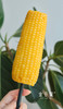 ‼️福利🧧（双十一多送1根）甜糯嫩Q弹｜内蒙古金云蜜甜糯619黄金玉米 商品缩略图4