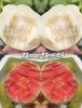 周日取货：【心动双拼芭乐】一箱毛重3斤左右，香甜清爽超好吃~ 商品缩略图2