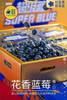🛵花香超级蓝🫐18+大果超大盒250克/盒 商品缩略图0