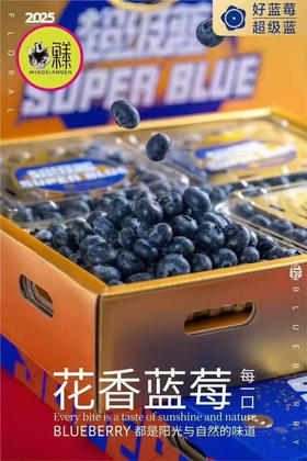 🛵花香超级蓝🫐18+大果超大盒250克/盒